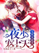 宝贝太惹火:夜少,宠上天
