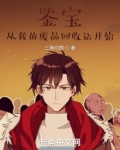 鉴宝,从我的废品回收站开始