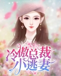 冷傲总裁小逃妻