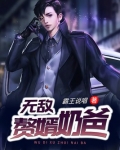 无敌赘婿奶爸