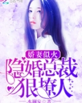 娇妻似火:隐婚总裁狠撩人!