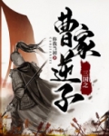 三国之曹家逆子