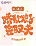 宰辅的娇软娘子会驭夫
