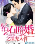 钻石暗婚之温宠入骨