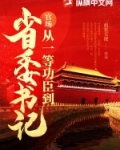 官场:从一等功臣到省委书记