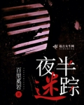 夜半迷踪
