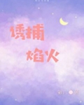 诱捕焰火