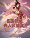 报告都统,夫人又破案了