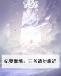 妃要攀墙：王爷请勿靠近