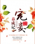 宠妾养成记