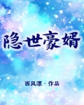 隐世豪婿