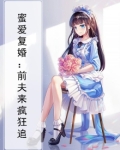 蜜爱复婚:前夫来疯狂追