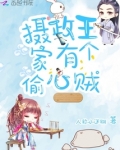摄政王家有个偷心贼