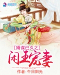 婿谋已久之闲王宠妻
