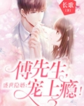 盛世隐婚:傅先生,宠上瘾