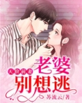 天价前妻,老婆别想逃